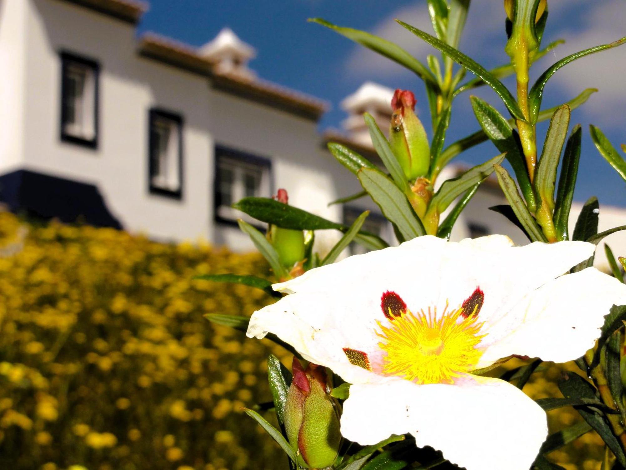 Monte Do Alento - Castro Da Cola Guest House Alcaria  Exterior photo